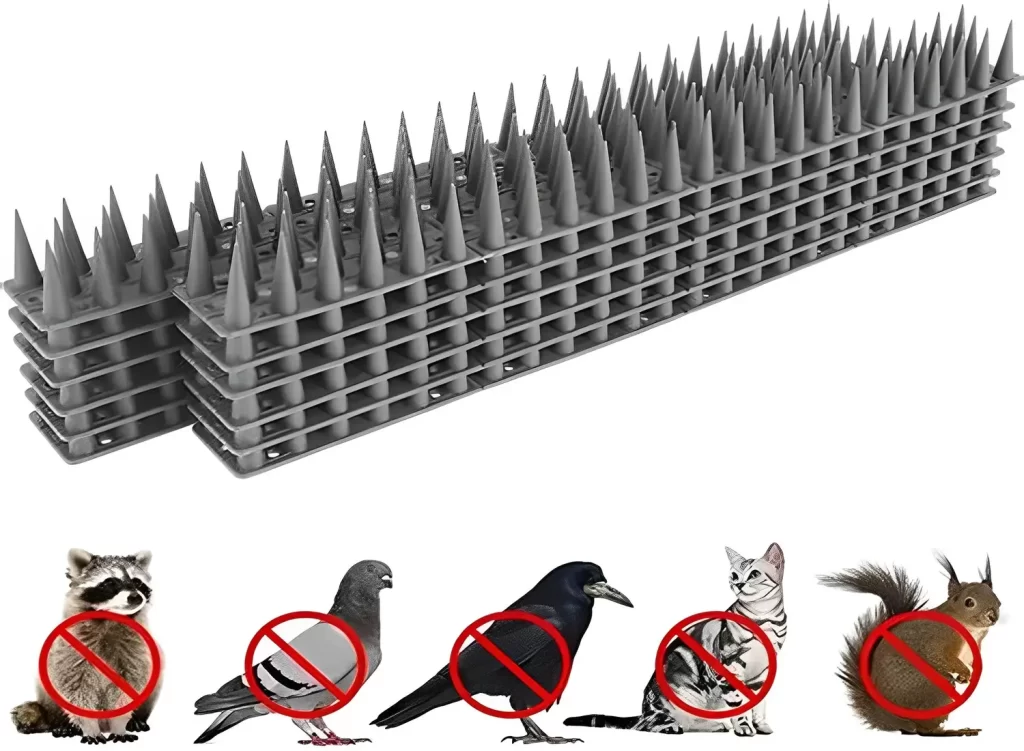 Anti-Bird Spikes In Chennai, Madurai, Coimbatore, Vizag, Guntur, Vizianagaram, Visakhapatnam, - Reliable Netting Safety Nets