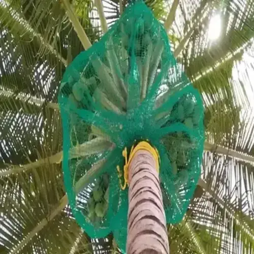 Coconut Tree Nets In Chennai, Coimbatore, Madurai, Vizag, Vizianagaram, Visakhapatnam, Guntur, - Reliable Netting Safety Nets