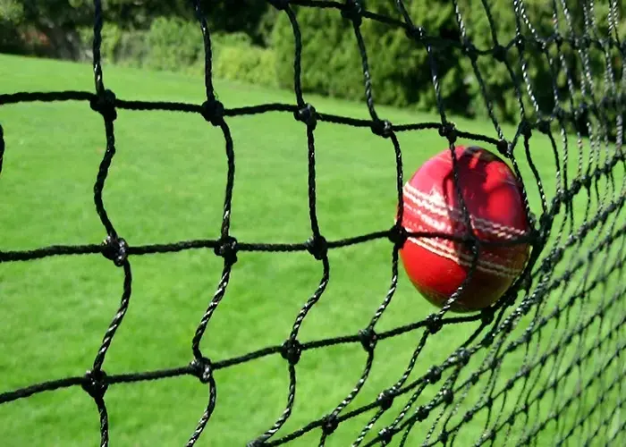 Reliable Netting Box Cricket in Chennai, Bangalore, Mysore, Vizag, Rajahmundry, Kakinada, and Hyderabad