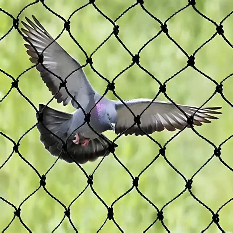 Reliable Netting Net for Pigeons in Chennai, Tharamani, Madhavaram, Thoraipakkam, Avadi, Poonamallee, Ramapuram, Sholinganallur, Perungudi, Thiruvanmiyur, Valasaravakkam, Mogappair, Thyagaraya Nagar