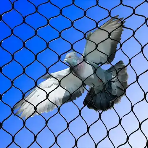 Reliable Netting Bird Control Nets in Chennai, Tamil Nadu