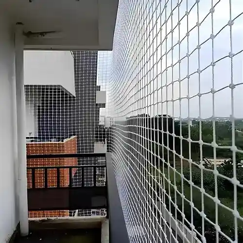 Reliable Netting Pigeon Net for Balcony in Chennai, Tamil Nadu (4)