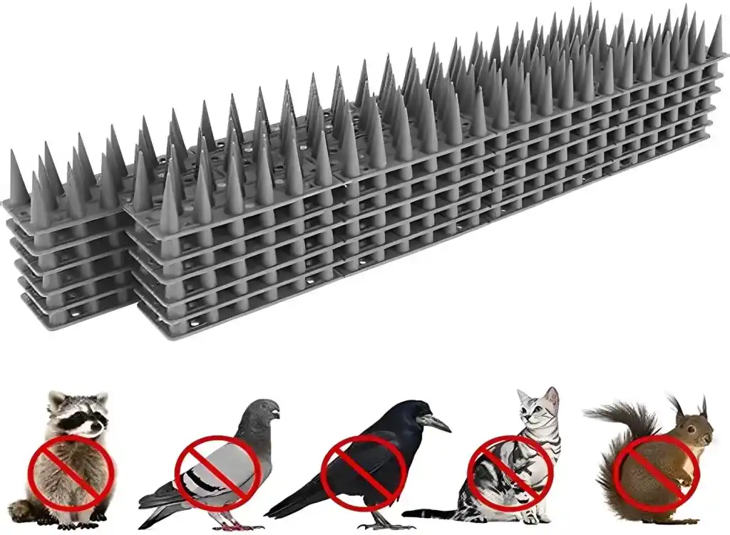 Reliable Netting Anti Bird Spikes In Chennai, Madurai, Coimbatore and throughout Tamil Nadu