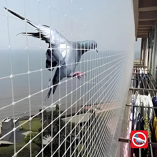 Nets for Balcony in Tirupati and Nellore - Reliable Netting