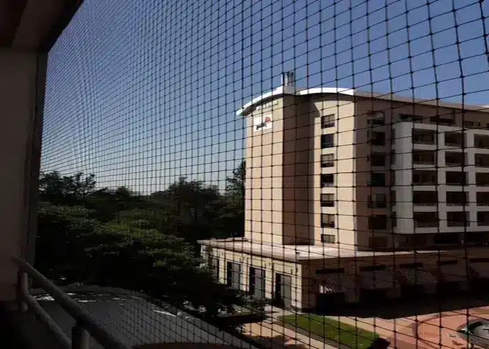 Top Premium Pigeon Control Nets for Balcony in Tirupati and Nellore - Reliable Netting