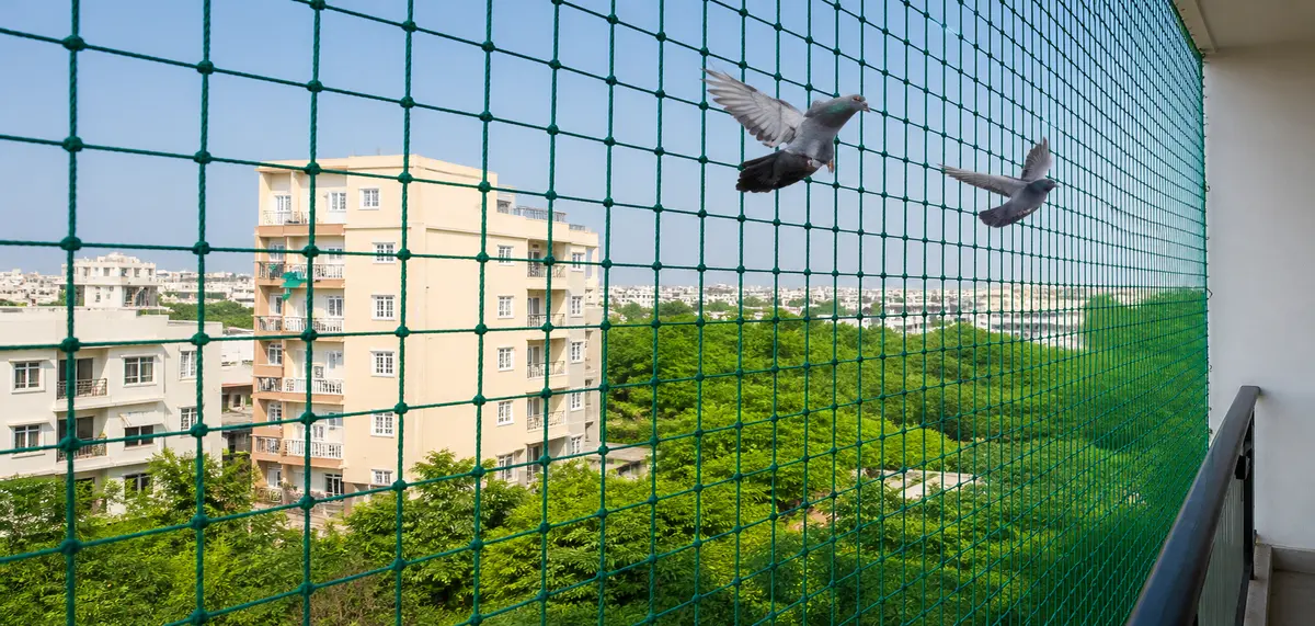 Bird net for balcony in Thalambur and Thoraipakkam