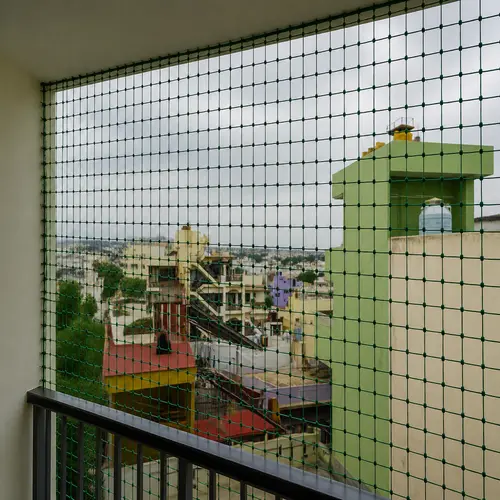 Pigeon netting Service in Thalambur and Thoraipakkam