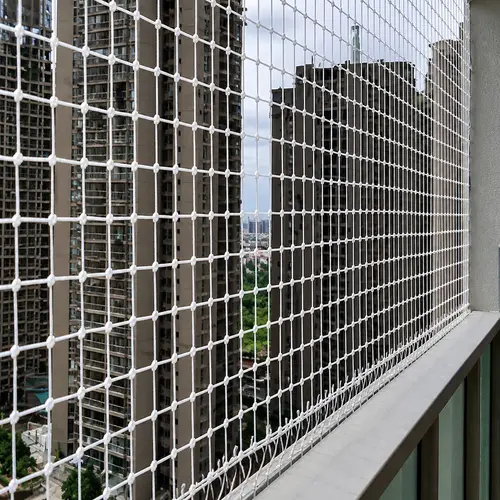 Safety Nets for Pigeons in Chennai (2)
